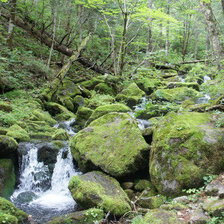 Схема вышивки «2 переход»