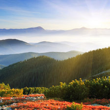 Схема вышивки «пейзаж»