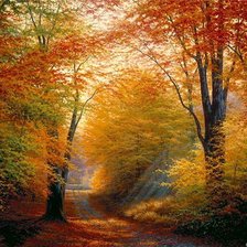 Схема вышивки «осень»