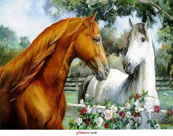 пара лошадей - лошади - оригинал