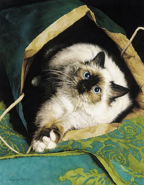 Серия "Кошки" - кошки, животные - оригинал