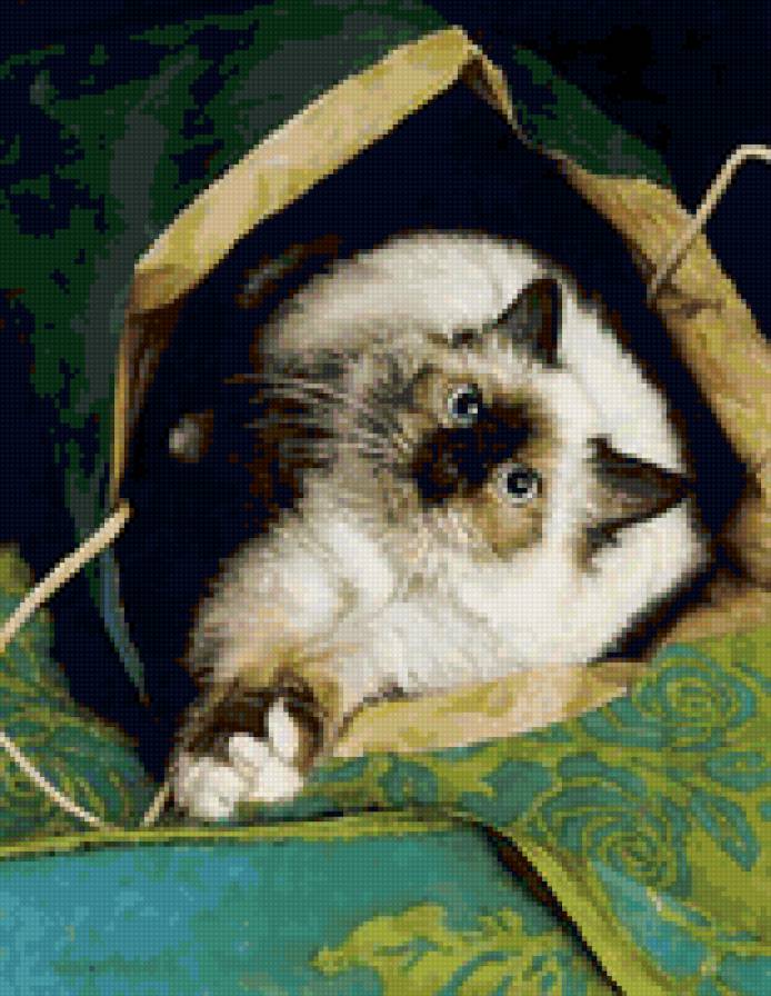 Серия "Кошки" - кошки, животные - предпросмотр