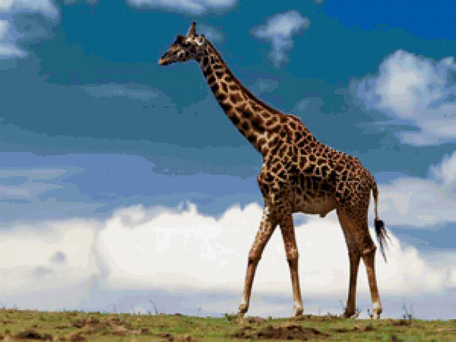 №47047 - предпросмотр