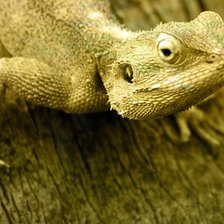 Схема вышивки «№47170»