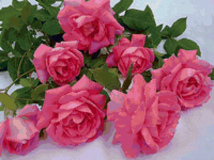 №47288 - предпросмотр