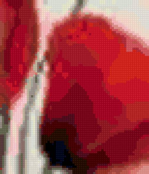 маки 6 - маки, цветы - предпросмотр