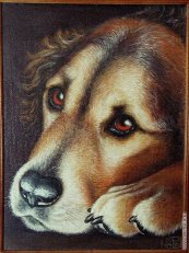 собачка в печали - собаки - оригинал