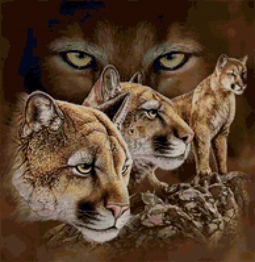 Кугуары - предпросмотр