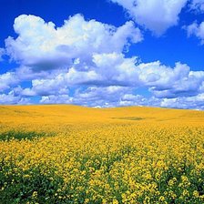 Схема вышивки «№47503»