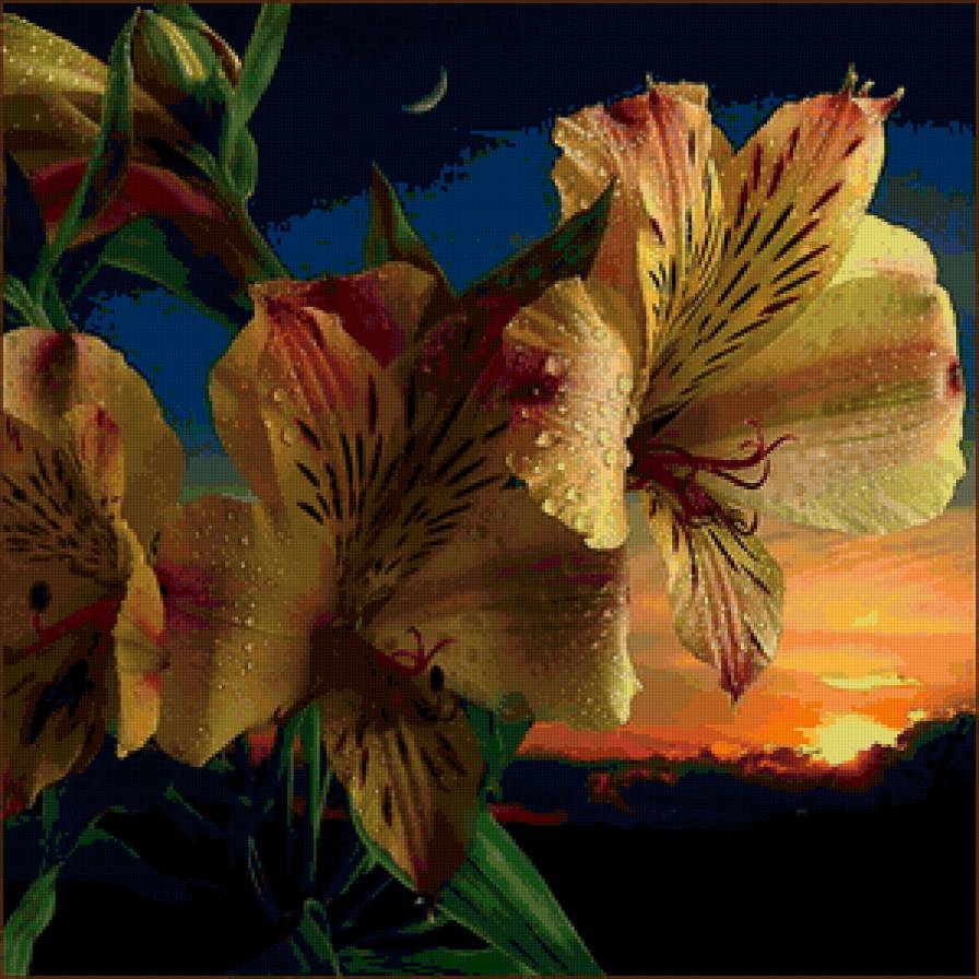 Лилии - закат, цветы - предпросмотр