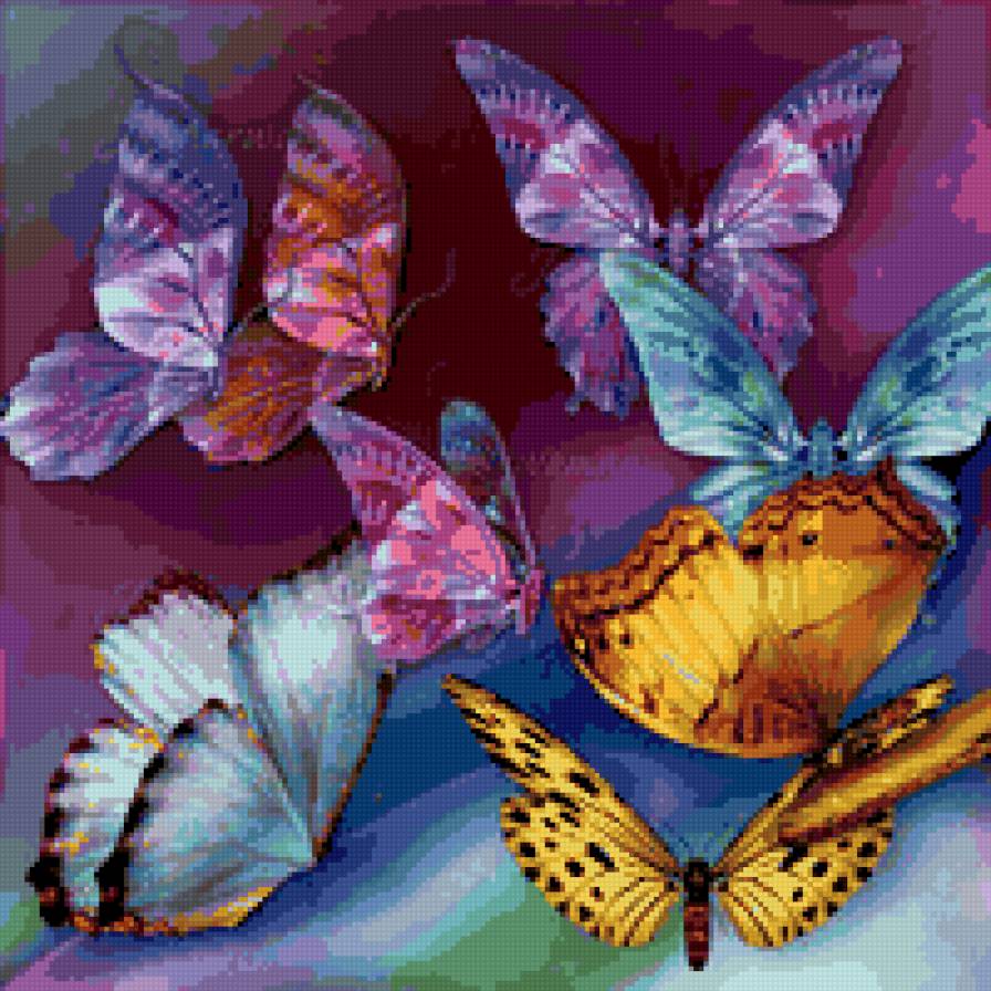 Бабочки - предпросмотр