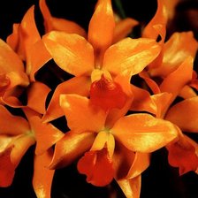 Схема вышивки «№47650»