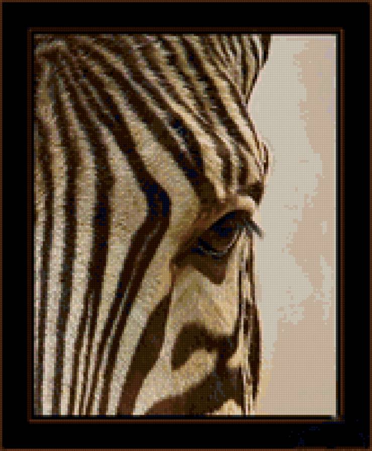 стильно - дизайн - предпросмотр