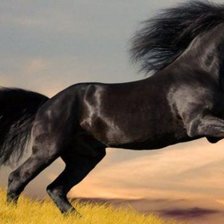 Схема вышивки «Конь»