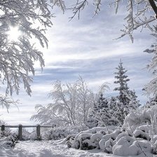 Схема вышивки «синий иней»