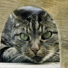 Схема вышивки «№47890»