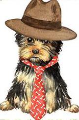 Забавный щенок - щенок, животные, малыши, собака, собаки, йоркширский терьер - оригинал