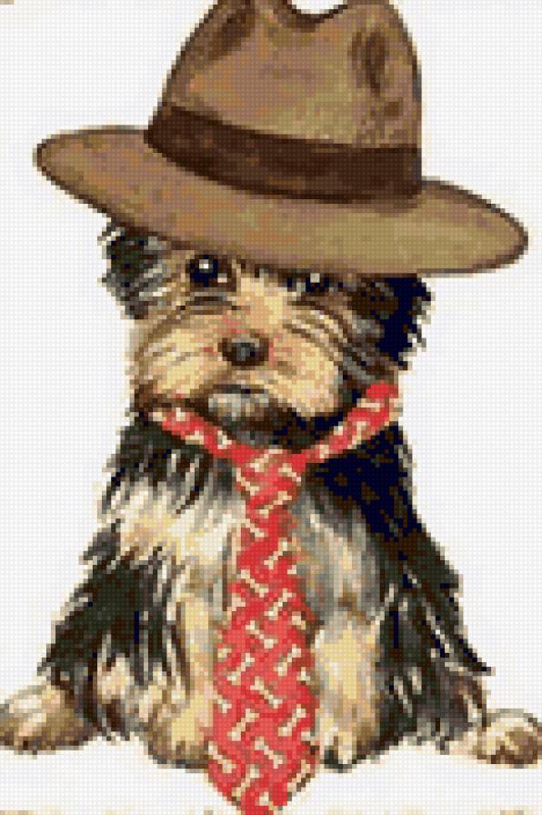 Забавный щенок - животные, собаки, собака, малыши, щенок, йоркширский терьер - предпросмотр