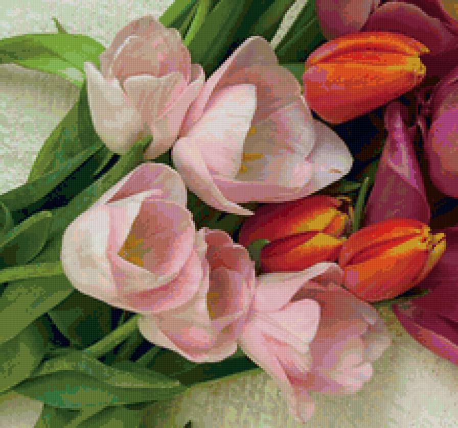 тюльпаны - тюльпаны, букет, цветы - предпросмотр