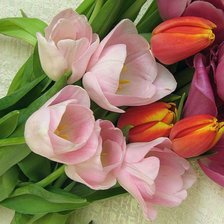 Схема вышивки «тюльпаны»