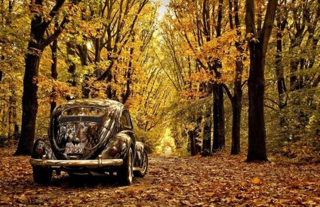 Осень - времена года - оригинал