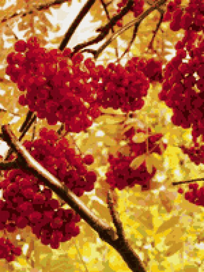 Осень - времена года - предпросмотр