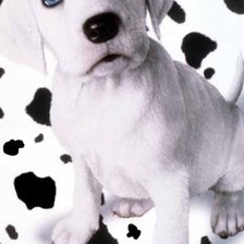 Схема вышивки «щенок»