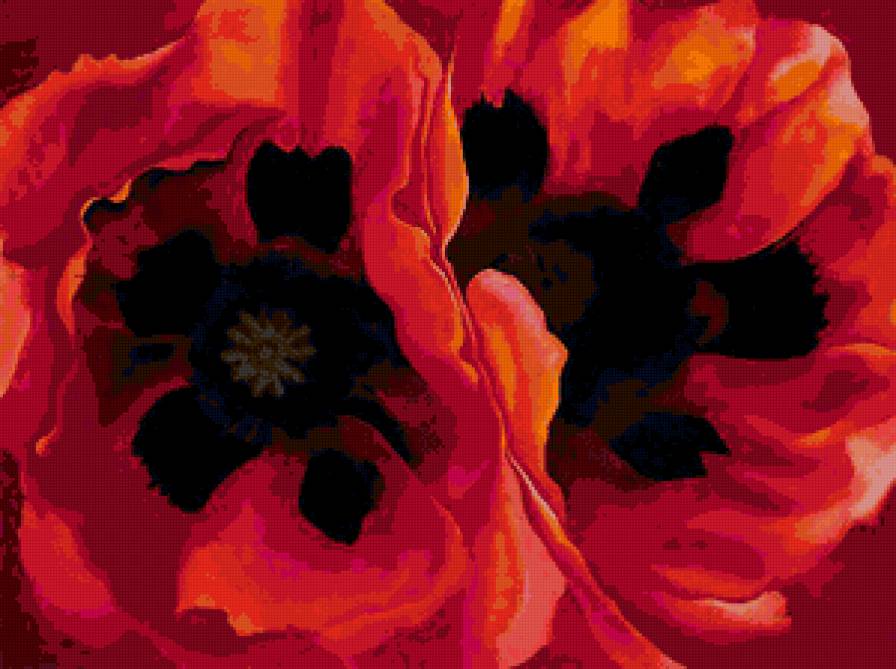 Серия "Букет" - цветы, маки, букет - предпросмотр