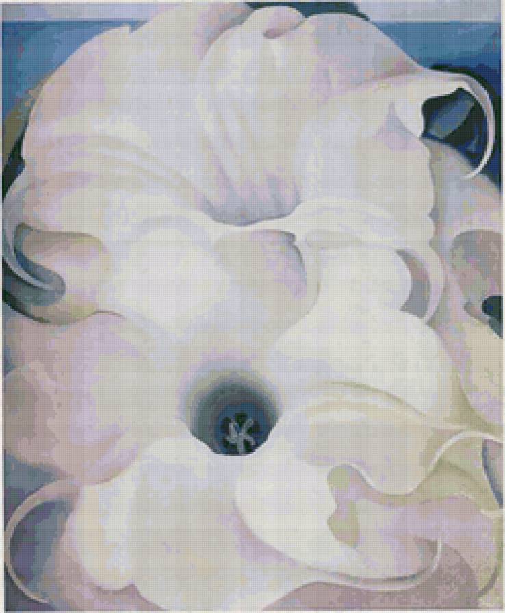 Серия "Букет" - цветы, букет, петуния - предпросмотр