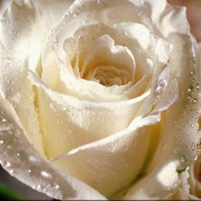 Схема вышивки «цветок»