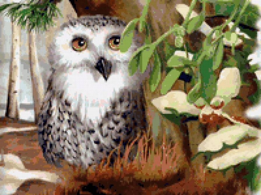 Сова - сова, дупло, осень, листья, мир красок, птица, птички, панно - предпросмотр