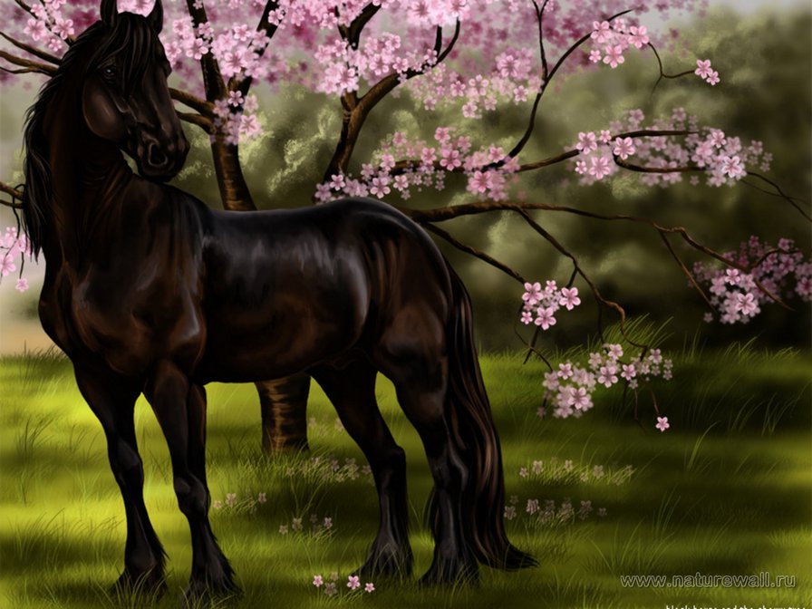 конь - лошади - оригинал