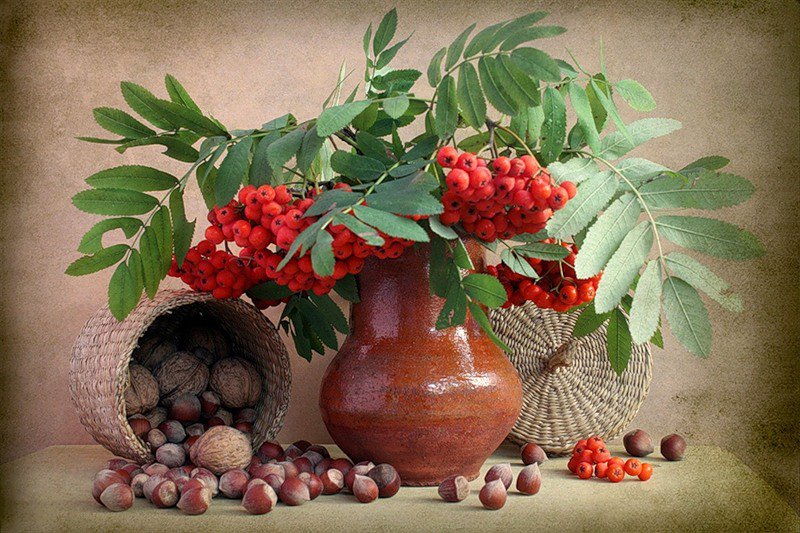 ореховый спас - орехи, рябина - оригинал