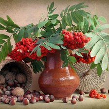 Схема вышивки «ореховый спас»