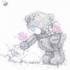 Схема вышивки «тедди»