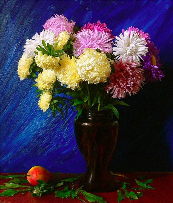 букет астр - астры, цветы - оригинал