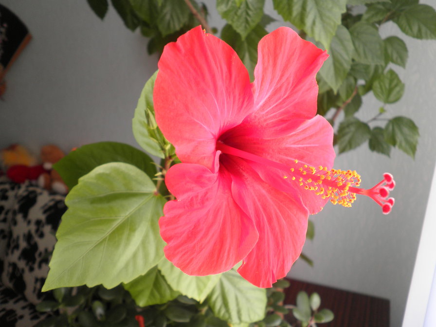 №49607 - оригинал