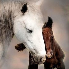 Схема вышивки «№49905»