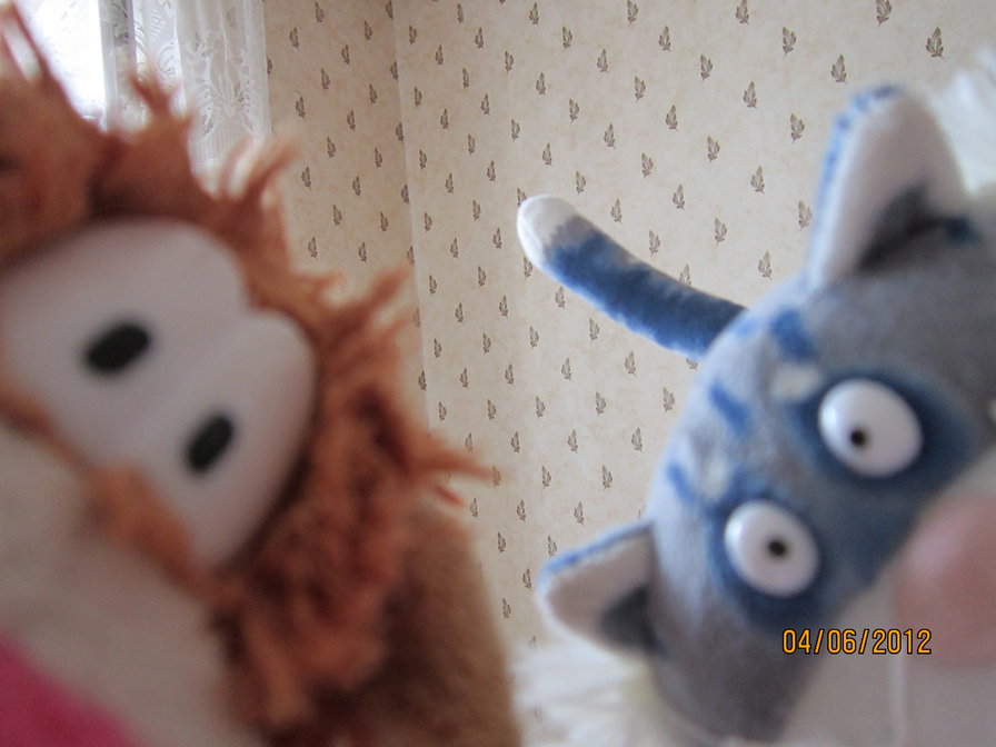 котики - оригинал