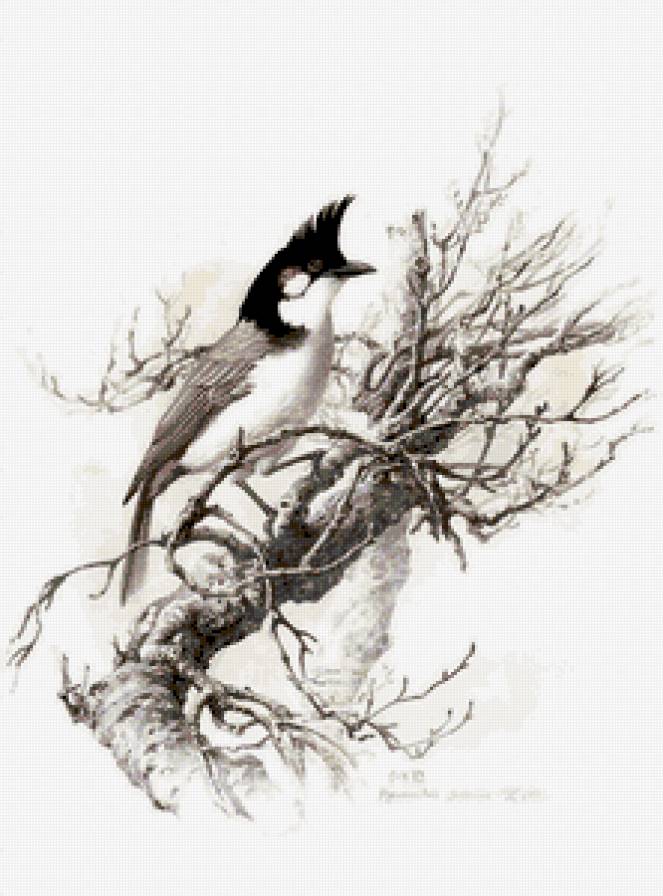 Птица - ветка, птица - предпросмотр