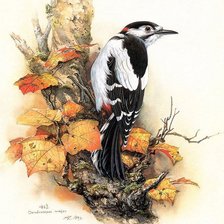 Схема вышивки «Птица»