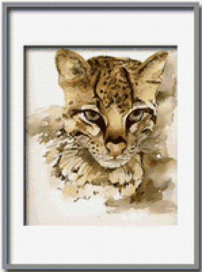 пума - пума, животные малыши - предпросмотр