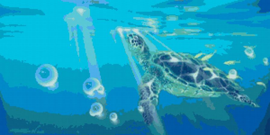 Маленькая черепаха - море, черепахи, животные - предпросмотр