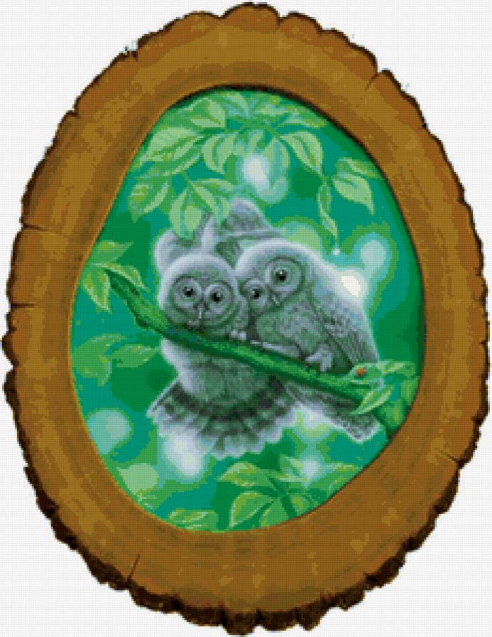 Маленькие совы - совы, птицы, филины - предпросмотр