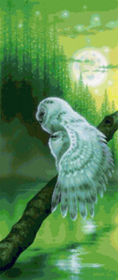 Семейство совы - пейзаж, птицы, филины, совы - предпросмотр