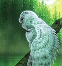 Схема вышивки «Семейство совы»