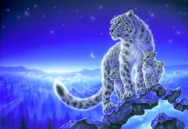 Семейство ирбиса - кошки, горы, снежный барс, животные, зима, ирбис, пейзаж - оригинал