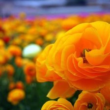 Схема вышивки «№ 1»