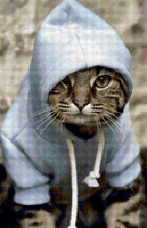 котик - предпросмотр