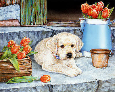 щенок - щенок, собака, животные - оригинал